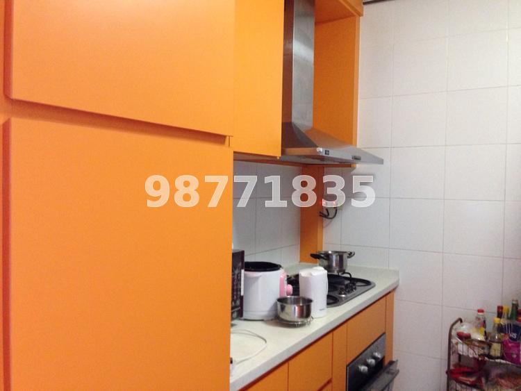 Blk 1C The Pinnacle@Duxton (Bukit Merah), HDB 4 Rooms #64056512